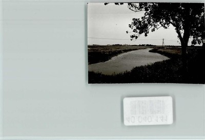 40040141 - 2256 Vollerwiek Eider