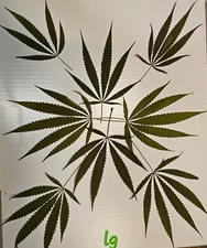 20 Pressed Hemp Leaves THC-Free Arts Crafts Decor