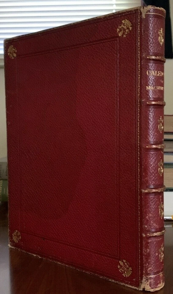 1878, CALEDONIA, SCOTT, BURNS, & RAMSAY, ILLUSTRATED, BEAUTIFUL FINE BINDING - Image 3 of 4