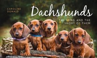 Dachshunds | The Long And The Short Of Them | Caroline Donald | Englisch | Buch