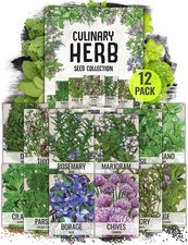 Seed Needs Herb Seeds Variety Pack Culinary Collection 12 Pack, Mixed