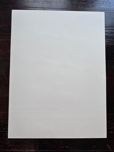 RARE Live Third Man Records TMR Poster Print 2017 Sunseeker Blue Room Liza Anne - Bild 6 von 6