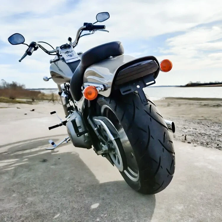 Luces Eagle Ahumadas Tri-Bar LED Luz Trasera Señales de Giro Softail FXST FXSTB FXSTC Foto 2 de 4