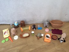 our generation guinea pig