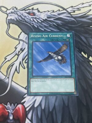 Yugioh Rising Air Current Common SRL