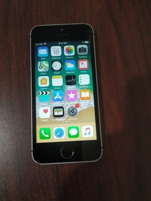Apple iPhone SE 1st Gen. 64GB A1723 ( iOS 11.2.5 )Gray ( Unlocked )