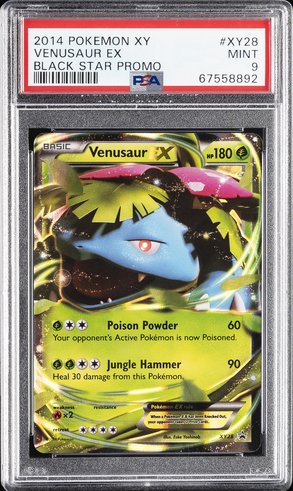 2014 POKEMON XY BLACK STAR PROMO #XY28 VENUSAUR EX PSA 9