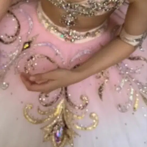 Odalisque Pirate Ballet Costume