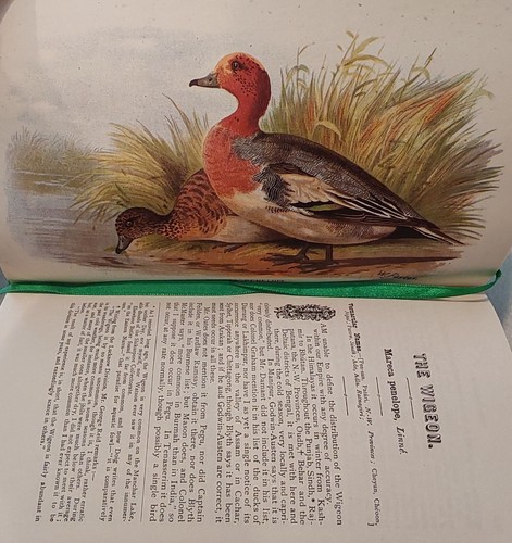 Game Birds of India Pakistan Bangladesh Burma & Sri -Lanka Hume and Marshall - Picture 21 of 24