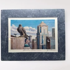 Artist Signed Ed Newbold Matted Print Downtown Peregrine Falcon Seattle