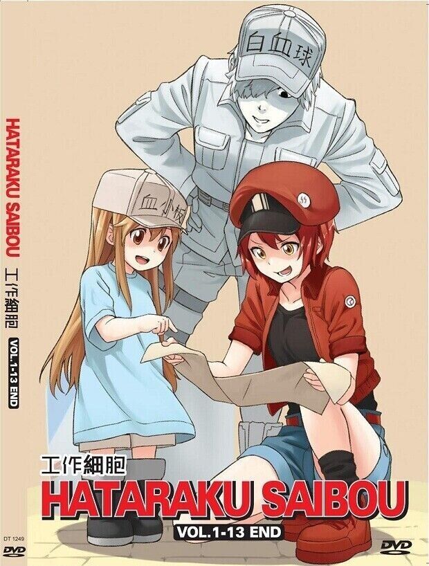 HATARAKU SAIBOU 3 TEMPORADA? CELLS AT WORK 3 TEMPORADA! - SEASON 3 