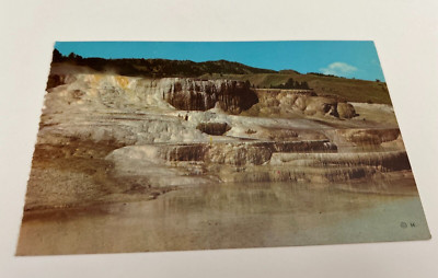 Minerva Terrace Mammoth Yellowstone National Park Postcard