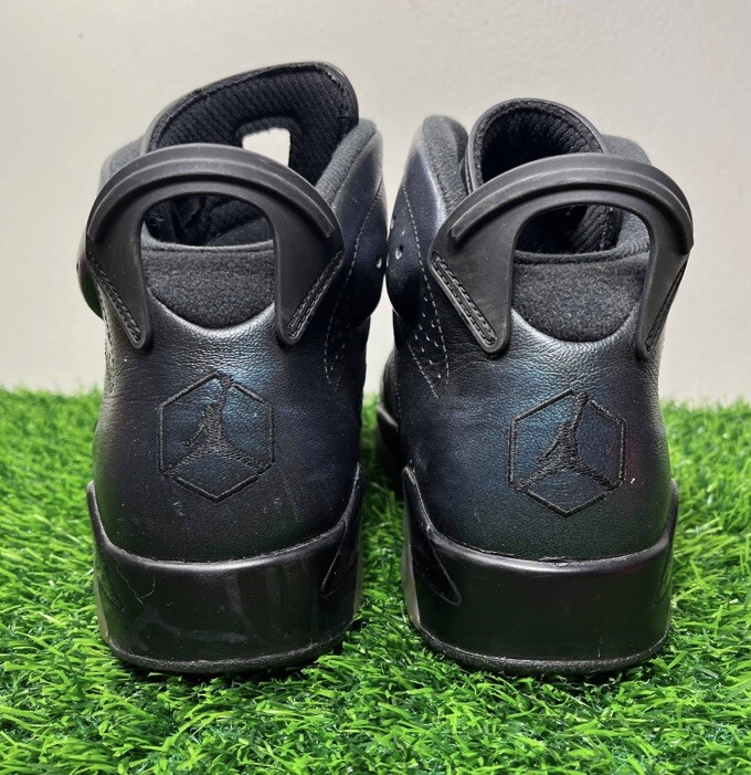 Air Jordan 6 VI Retro All Star - Chameleon Size 9 Sneakers w/ Box
