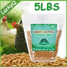 5LBS Non-GMO Dried BSF Mealworms High-Protein Worms Fit Chicken Treats Birds