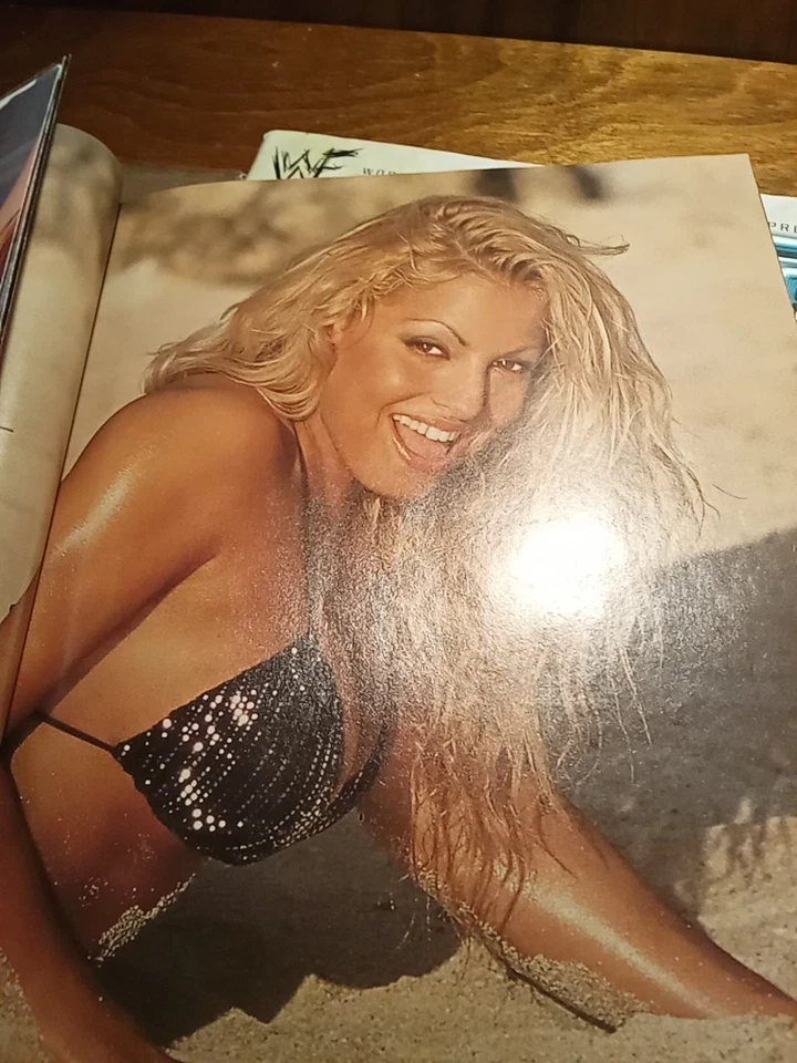 Lote de pósteres Wwe Magazine Divas 2001 Extreme Hardy Boys Lita 2001 Bret Hart 2006 Foto 3 de 4