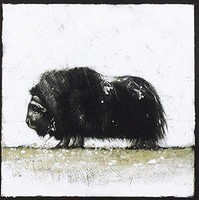 Gianni Maroccolo Alone: Volume 1