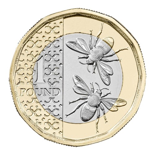 RARE NIFC NEW RELEASE 2025 KING CHARLES III BUNC BEES £1 ONE POUND COIN.