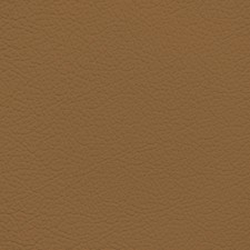 GM Brick Leather Dye