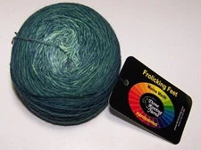 4oz Done Roving FROLICKING FEET GRADIENT DK HandPainted Merino Yarn #11 SPRUCE