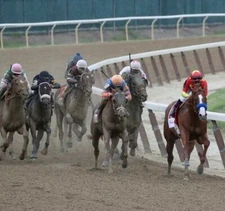 JUSTIFY 2018 BELMONT STAKES 8X10 GLOSSY PHOTO PICTURE IMAGE #7  TRIPLE CROWN