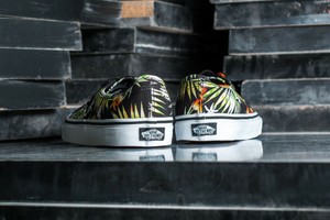 vans high tops junior