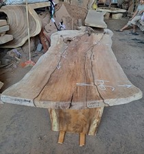 Wild Roots Mango Wood Slab 234x94x7cm
