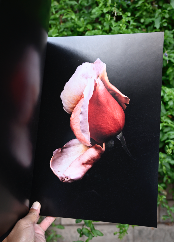 Roses, David Sims Photo Book Visionaire #40 Loose 8x10 signed