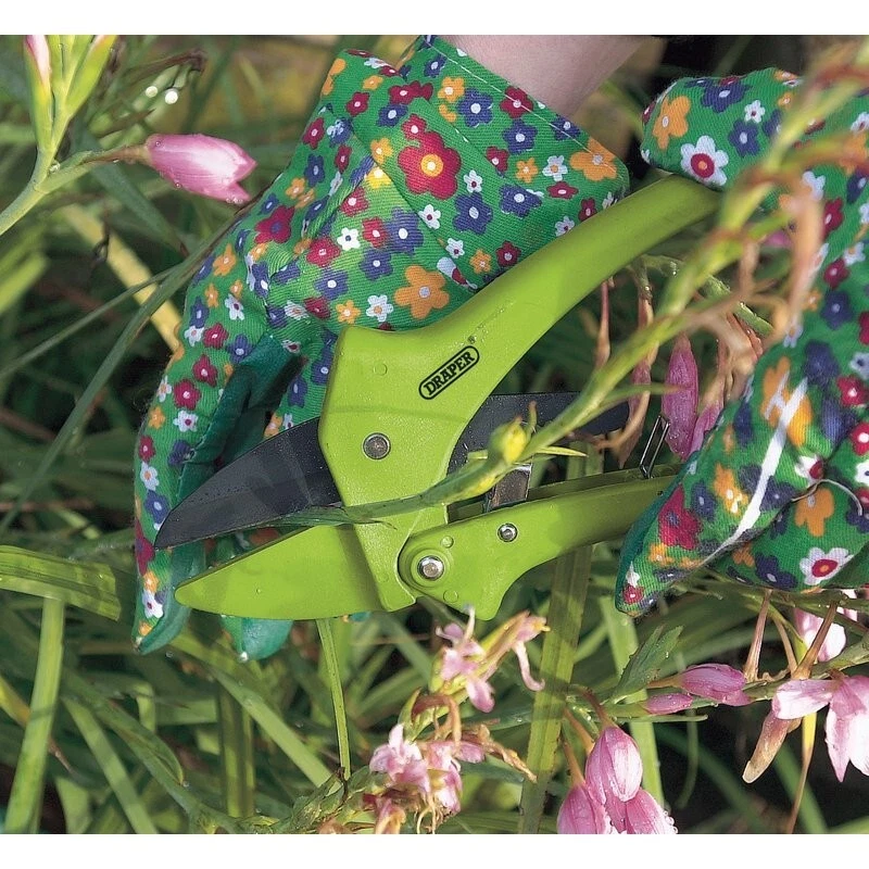 DRAPER Ratchet Action Anvil Pattern Secateurs 190mm - 34478 - Image 2 of 3