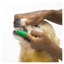 Green Finger Toothbrushes for Dogs and Cats Pet Oral  Dental Care - Bulk Too