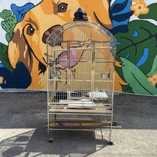 Avian Adventures Mediana Dometop Large Stainless Steel Birdcage w/ Acc. #120