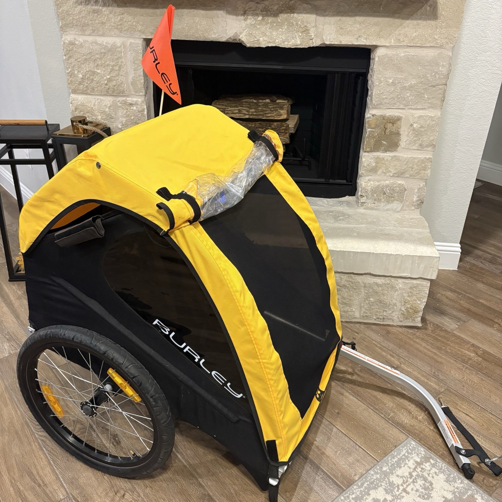 Burley Bee Double Two Seater Kids' Bike Trailer With Storage, Weather Proof