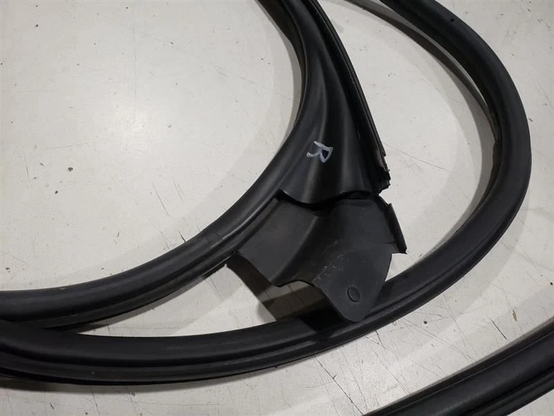 BMW 330CI E46 2004 ZHP - sellos de puerta izquierda y derecha ZHP fabricante de equipos originales 7126137 7126138  Foto 2 de 4