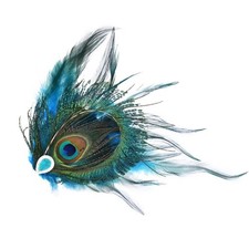 Exotic Feather Hairpin With Rhinestones Decors Bohemian Theme Hair Clip For