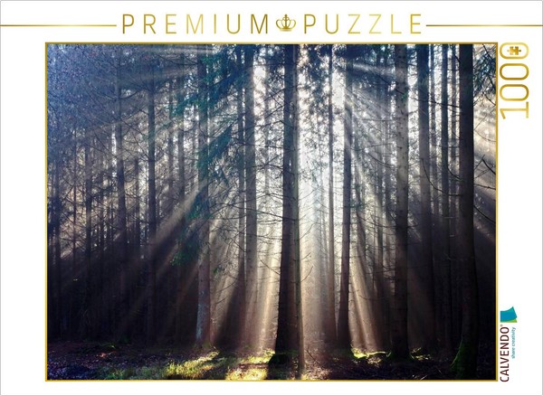 Calvendo Puzzle Sunbeams In The Forest | 1000 Pieces, Finished Size 25.2 × 18.9-image