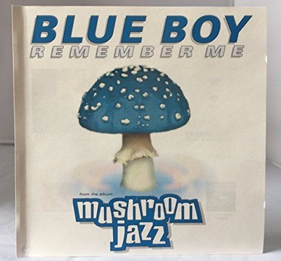 Remember Me The, Blue Boy: