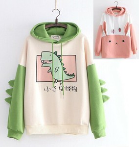 dinosaur sweatshirt