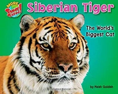 Siberian Tiger : The World's Biggest Cat Library Binding Meish Go