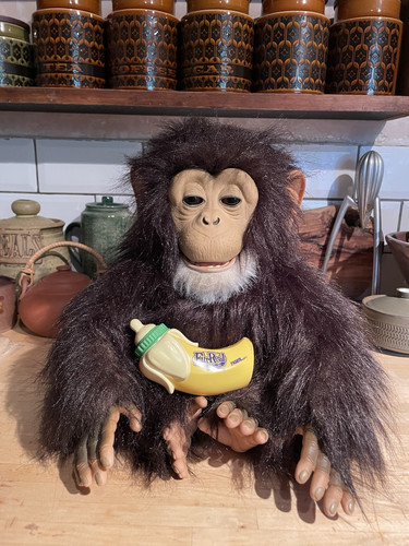 Fur Real Friends Cuddle Chimp & Banana Bottle Interactive Hasbro Tiger Electric - Picture 1 of 24