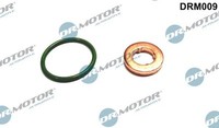 Dr.Motor Automotive DRM009 Dichtungssatz, EinspritzdüSe FüR Audi Seat Skoda VW