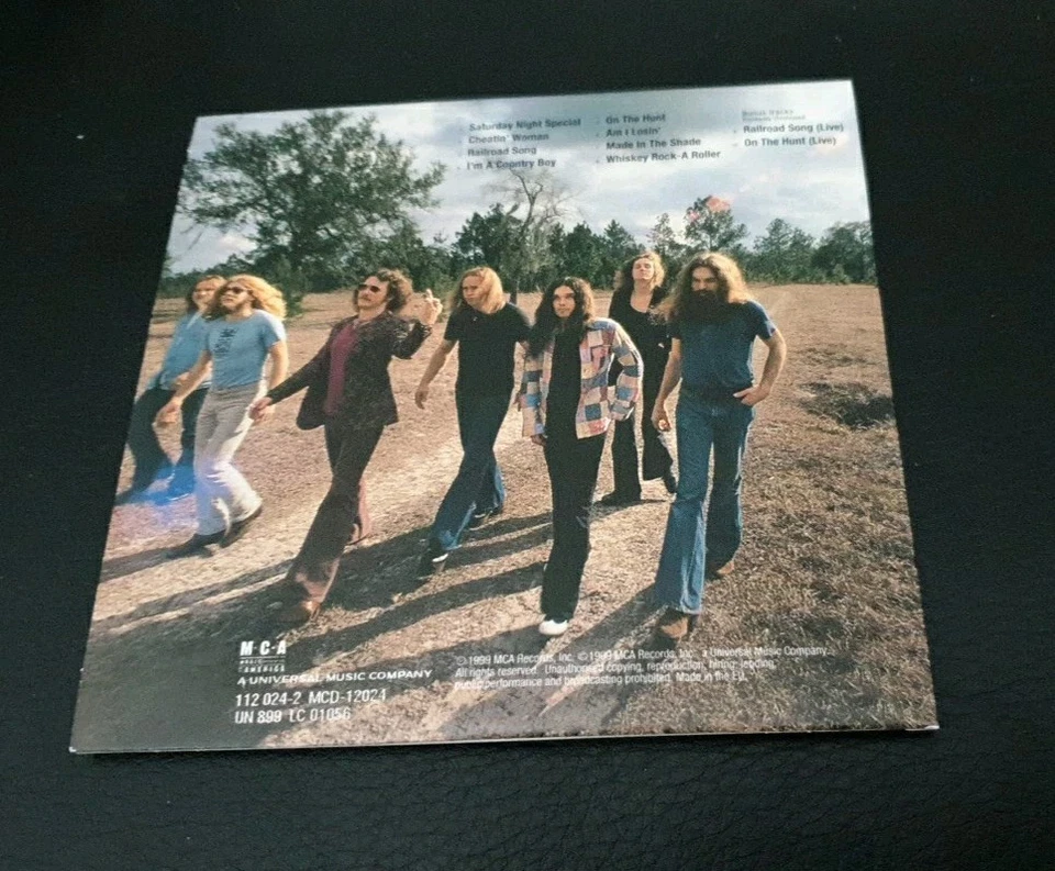 Lynyrd Skynyrd – Nuthin' Fancy - Bild 2 von 2