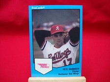50+ '89 ROCHESTER RED WINGS PETE HARNISCH PROCARDS MINORS CARDS *ORIOLES/ASTROS*