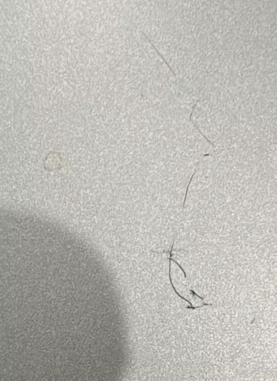 Picture 11 of 11