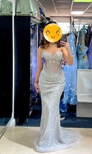 Silver Sparkle Dress Women, Never Worn, size 4