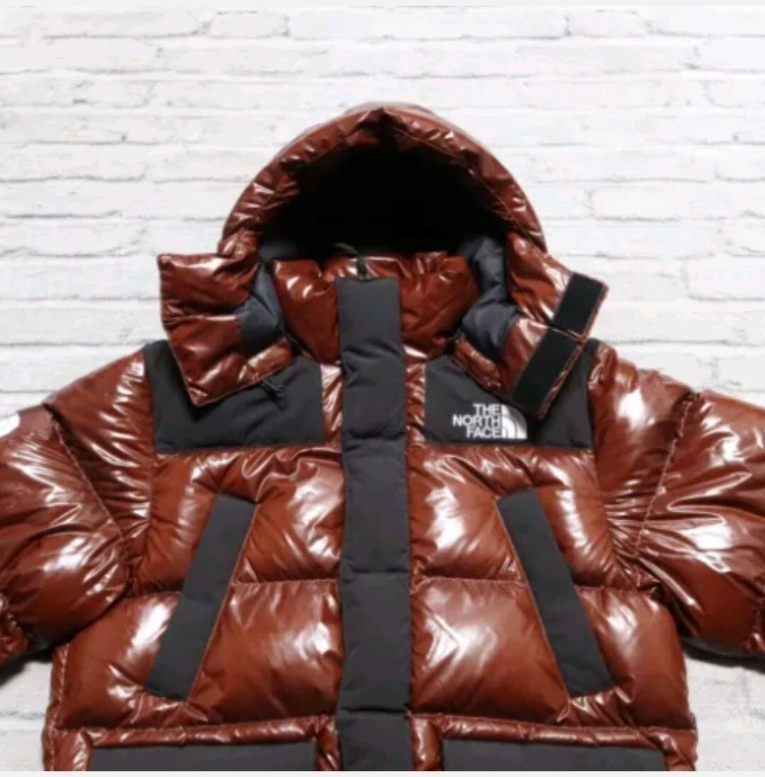 New Supreme x North Face 700 Fill Down Parka Jacket Size L Dark Oak