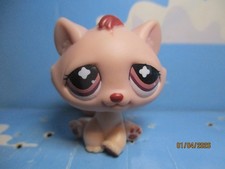 PETSHOP CHAT DE GOUTTIERE SANS