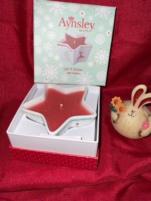 Aynsley Weihnachtsstern Windlicht neu verpackt Geschenk - let it snow #d