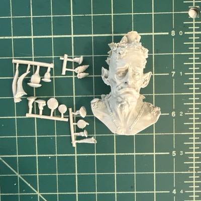 Resin Miniature Figone Druid Head