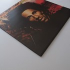 Foto 4 di 11