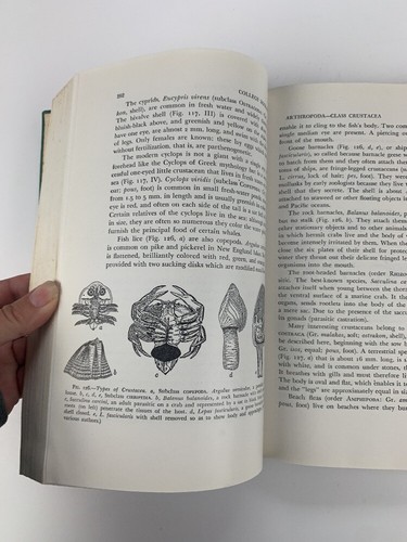 College zoology 5th Edition 1948 Hardback - Picture 10 of 12