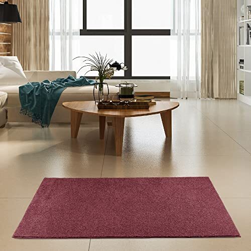 Modern Indoor/Outdoor Commercial Solid Color Rug - Pet 2' x 4' Oval Cranberry - Picture 3 of 7